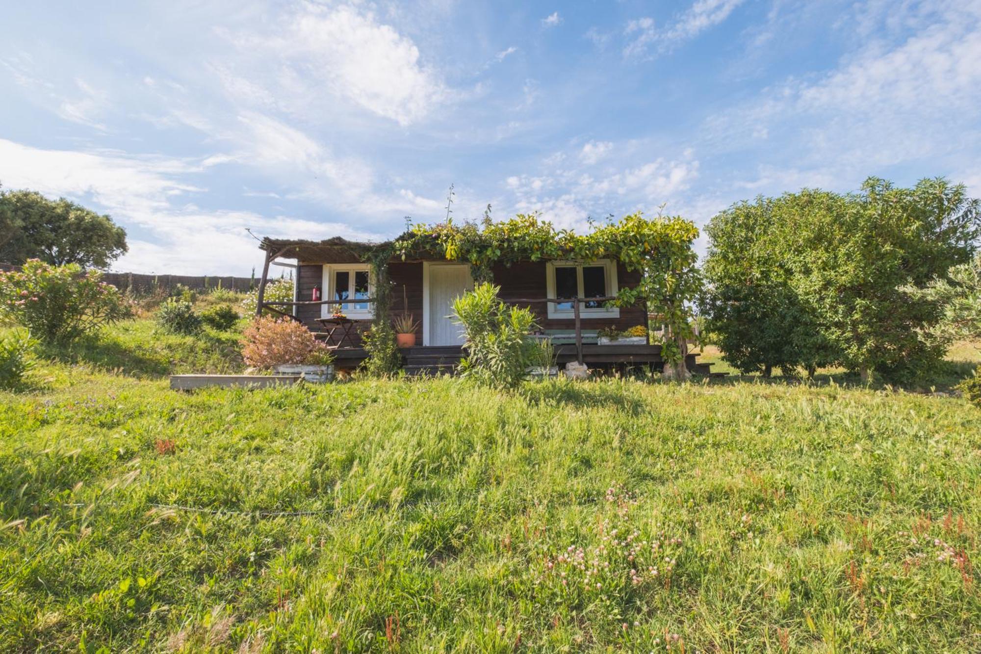 Villa Ruralcamomo Cádiz Exterior foto