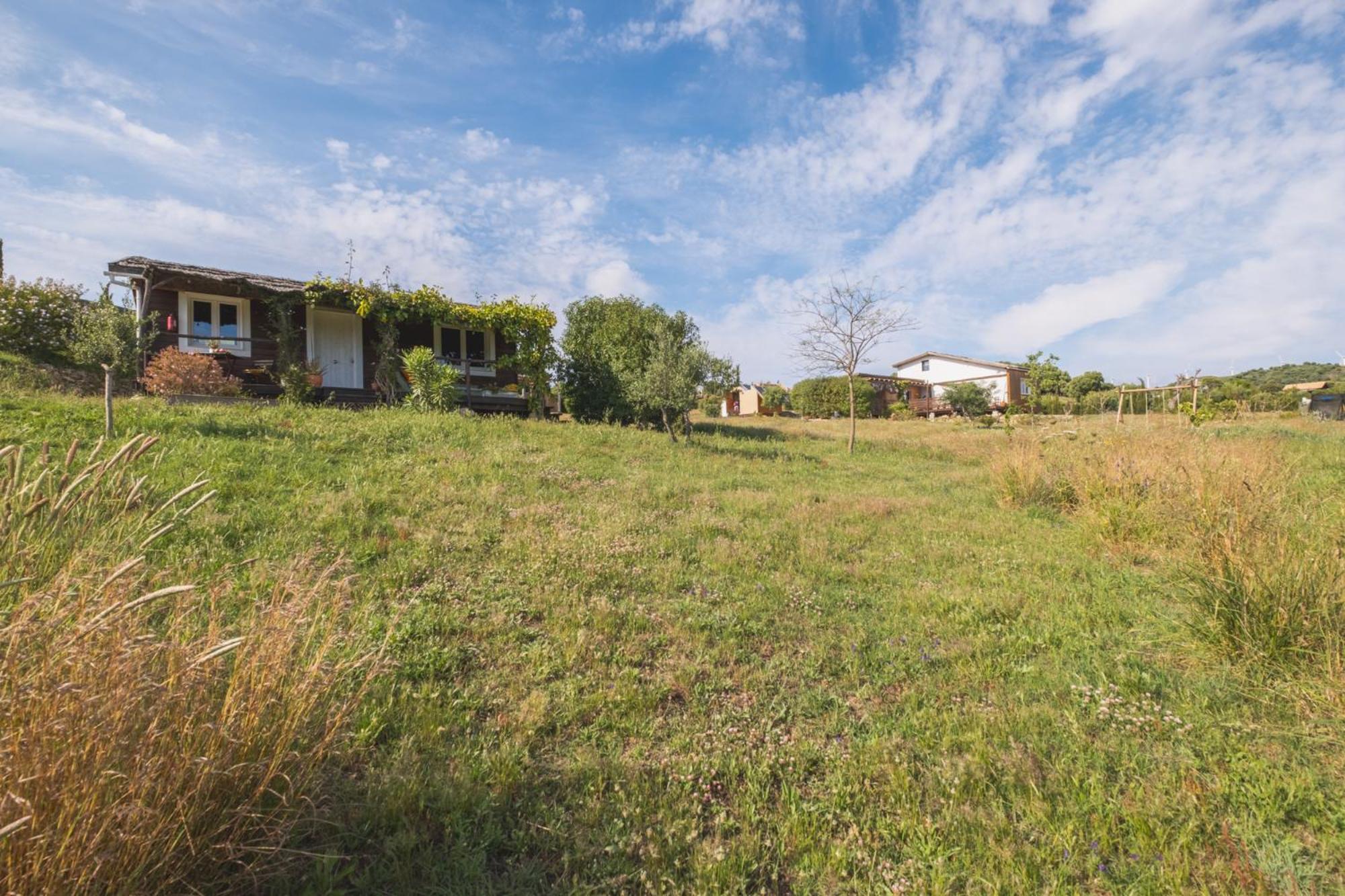 Villa Ruralcamomo Cádiz Exterior foto